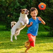 Hundespielzeug Nerf Dog X-Weave Soccer Squeak Ball 12,5 cm