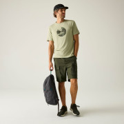 Herrenshorts Regatta Arlery Shorts