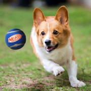 Hundespielzeug Nerf Dog Squeak Tennis Ball 3 pcs