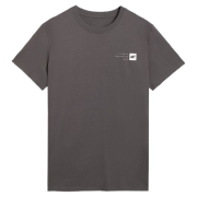 Herren-T-Shirt 4F Tshirt M3131 grau MIDDLE GREY
