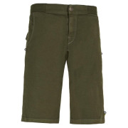 Herrenshorts E9 Kroc Flax grün Musk