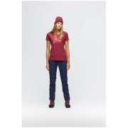 Damenhose Salewa W Terminal Pant