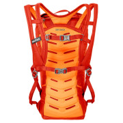 Rucksack Salewa Apex Climb 18 Bp