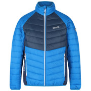 Herrenjacke Regatta Halton IV