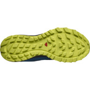 Herrenschuhe Salomon Trailster 2 GTX