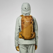 Rucksack Salewa Sella Free 22L