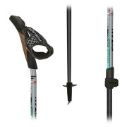 Nordic Walking Stöcke Fizan Tekno Race Impulse