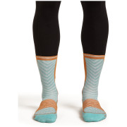 Herrensocken Icebreaker Men Merino Run+ Ultralight Mini
