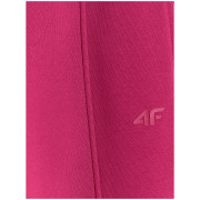 Kinder-Jogginghose 4F Trousers Cas F1242