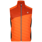 Herrenweste Dare 2b Touring Gilet orange Puffins Orange/Rooibos Tea