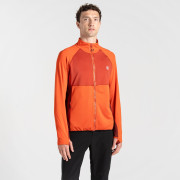 Herren-Sweatshirt Dare 2b Substratum II Cr Str