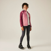 Kinderjacke Regatta Junior Newhill Hybrid