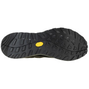 Herrenschuhe Regatta Cruize