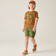 Kindershorts Dare 2b Reprise III Short Nephite Green