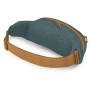 Hüfttasche Osprey Daylite Waist
