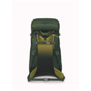 Kinderrucksack Osprey Ace 38