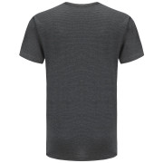 Herren-T-Shirt Alpine Pro Adarn