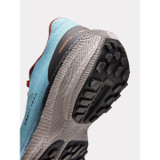 Herren Laufschuhe Craft Pro Endurance Trail