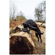 Hundenapf Mountain Paws Collapsible Dog Food Bowl