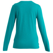 Damen-Funktionsshirt Icebreaker W Mer Central Classic LS Tee Icebreaker