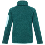 Kinder-Sweatshirt Regatta Junior Newhill DrkForGlacGr