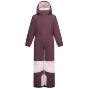 Kinder-Skianzug Dare 2b Rodeo Snowsuit Hucklbr/PkHz
