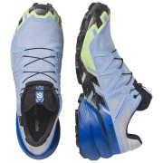 Herren Laufschuhe Salomon Speedcross 6 GTX Icon