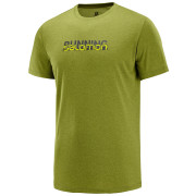 Herren-T-Shirt Salomon Agile Graphic Tee M grün AvocadoHeat