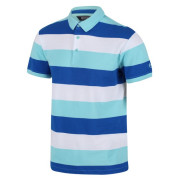 Herren-T-Shirt Regatta Maxen blau/weiß AntiguaStrpe
