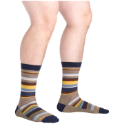 Herrensocken Darn Tough Druid Crew Lightweight