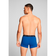 Herren-Boxershorts Puma Everyday Trunk 2P