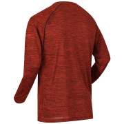 Herren-T-Shirt Regatta Burlow