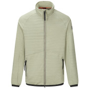 Herren-Sweatshirt Regatta Malton hellgrün Light Sage