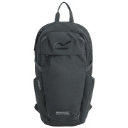 Rucksack Regatta Prism 20L schwarz Ash