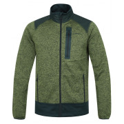 Herren-Sweatshirt Husky Alan M grün