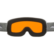 Skibrille Alpina Scarabeo S