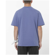 Herren-T-Shirt Salomon Wild Rays Label SS Tee
