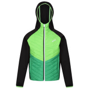 Kinderjacke Regatta Kielder HybridVII schwarz Black/Jasmine Green