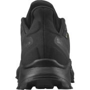 Herrenschuhe Salomon Alphacross 3 Gore-Tex