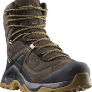 Wanderschuhe Salomon Quest Element Gore-Tex schwarz/braun Delicioso / Black / Dull Gold