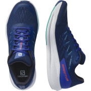 Herren Laufschuhe Salomon Spectur
