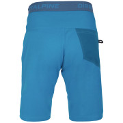 Herrenshorts Direct Alpine Campus Short 2022