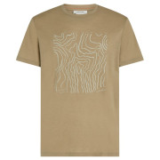 Herren-Funktionsshirt Icebreaker M 150 Tech Lite SS Tee Great Heights hellbraun Cumin