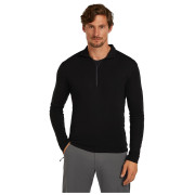 Herren-Funktionsshirt Icebreaker M 175 Everyday LS Half Zip