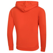 Herren-Sweatshirt Alpine Pro Miak