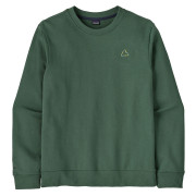 Herren-Sweatshirt Patagonia M's Fitz Roy Massif Daily Crew grün Canopy Green