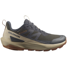 Herren Trekkingschuhe Salomon Elixir Activ Gore-Tex