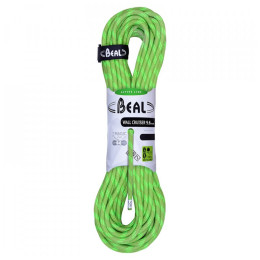 Kletterseil Beal Wall Cruiser 9,6 mm (30 m) grün green