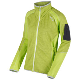Damen-Sweatshirt Regatta Laney IV grün LimeZest