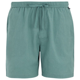 Herrenshorts Regatta Hadlin Shorts hellblau Arctic